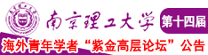 啊…想要大鸡巴…给我…视频南京理工大学第十四届海外青年学者紫金论坛诚邀海内外英才！